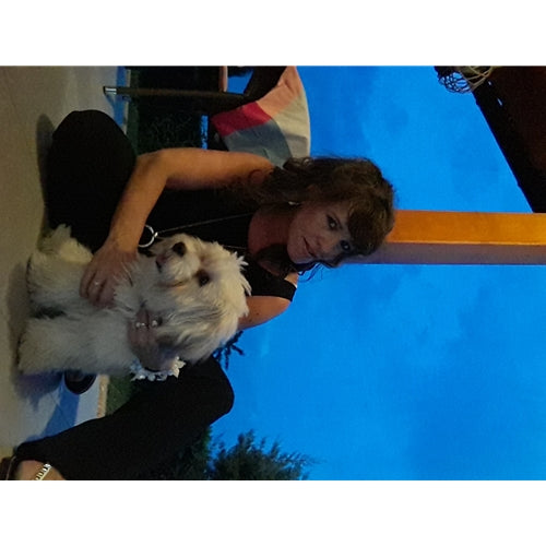 Mr.Pet spletna trgovina