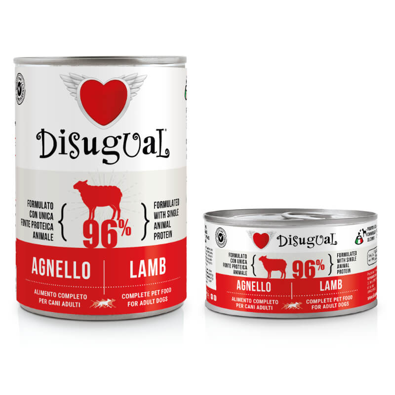 Disugual Mono - ovca