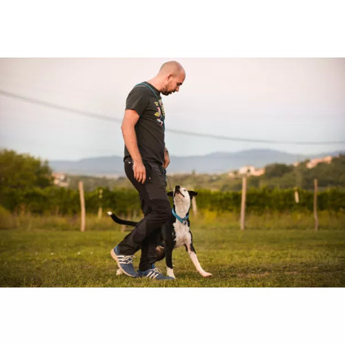 Mr.Pet spletna trgovina