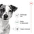 Royal Canin Mini Ageing (3)