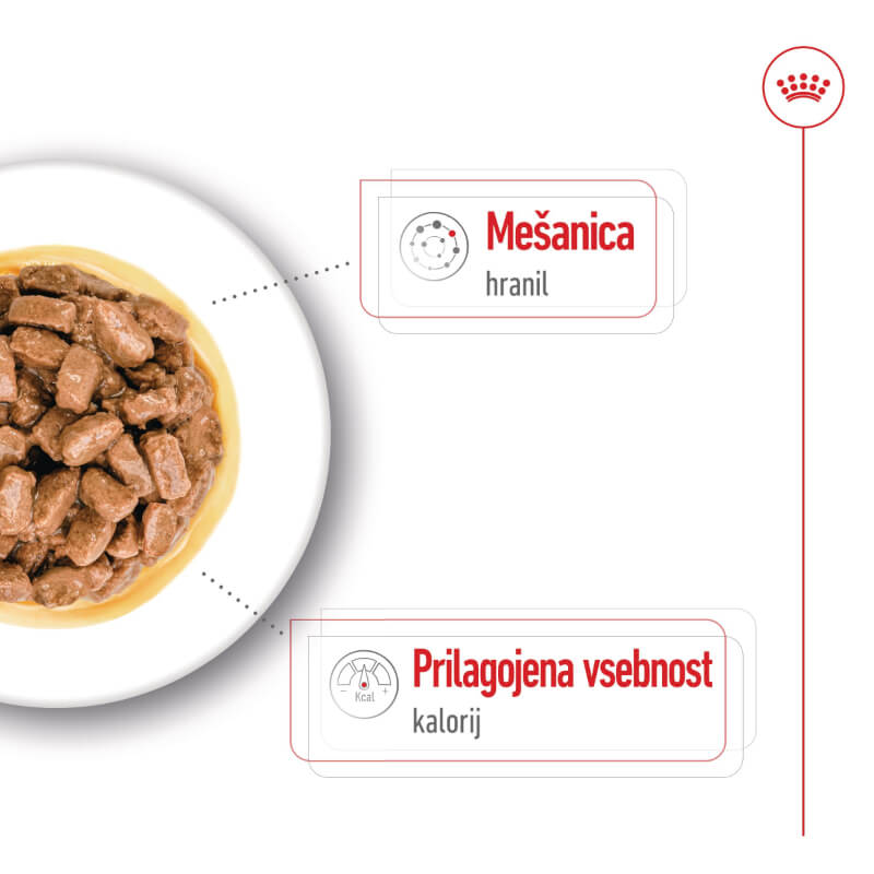Royal Canin Mini Ageing (4)