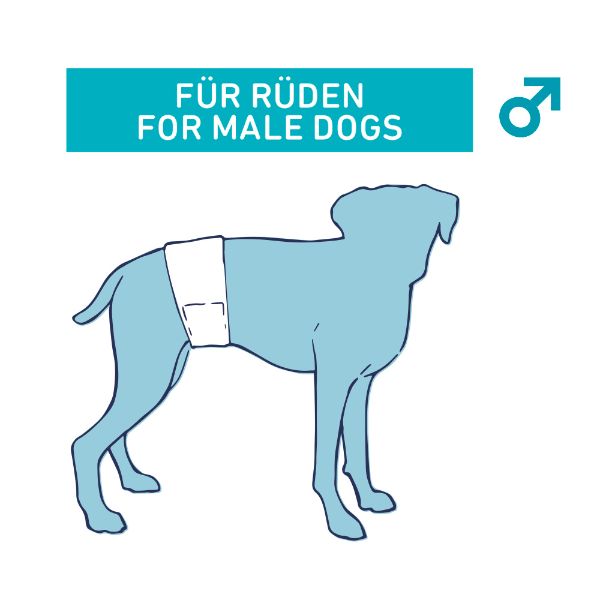 Nobby plenice za samce (12 kos) - 60-80 cm (3)