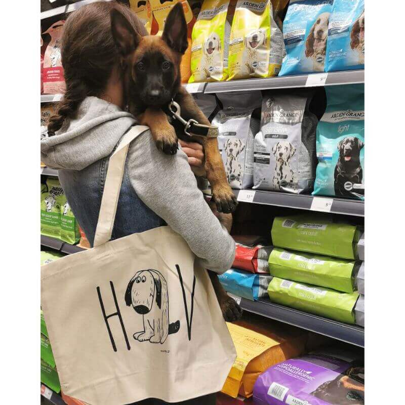 Bombažna vrečka, pes - 35 x 39 x 13 cm (2)