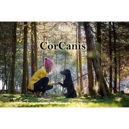 Spletna trgovina Mr.Pet