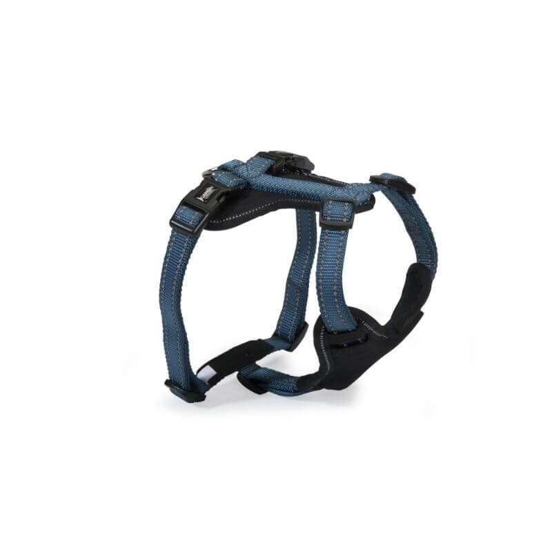 Camon oprsnica Classic Reflective 5-Way, modra - XS