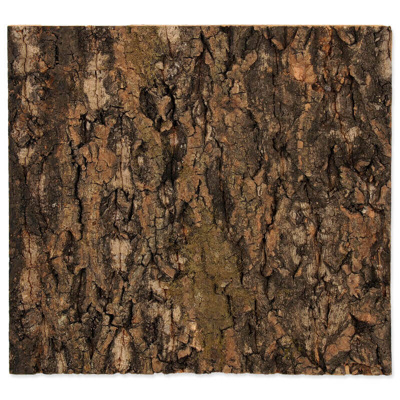 Repti Planet ozadje iz naravne plute - 29 x 27,3 x 2 cm