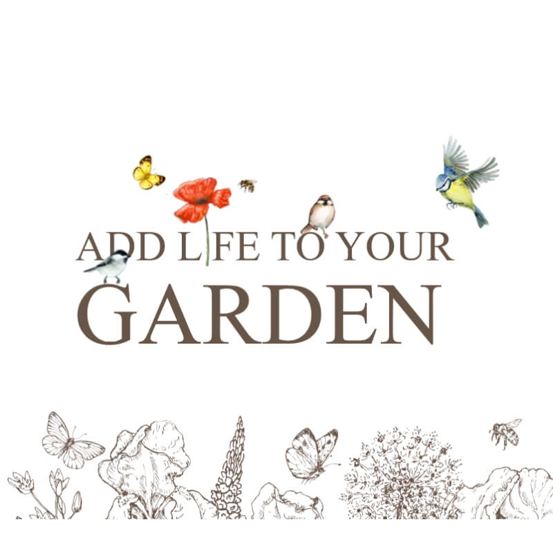 Deli Nature hrana za ježe - 600 g (2)