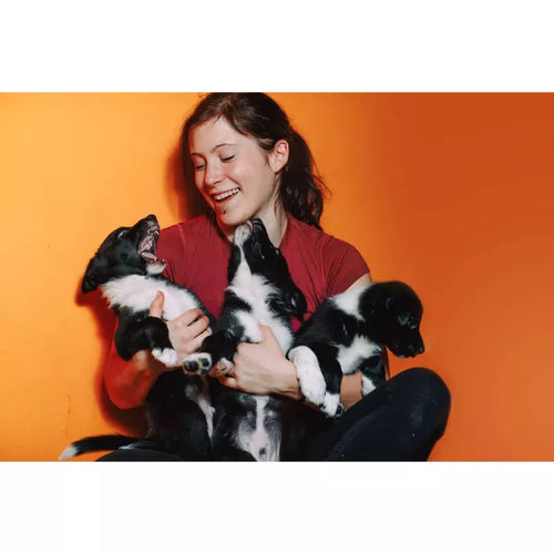 Spletna trgovina Mr.Pet