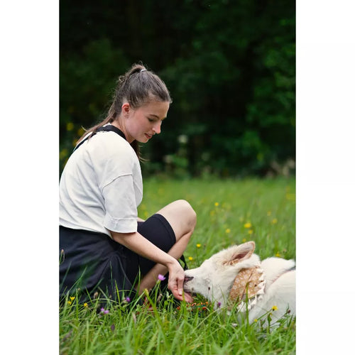 Spletna trgovina Mr.Pet