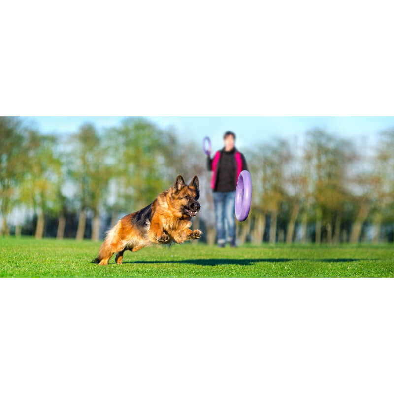 Puller igrača Standard, 2 kom - fi 28 cm (3)