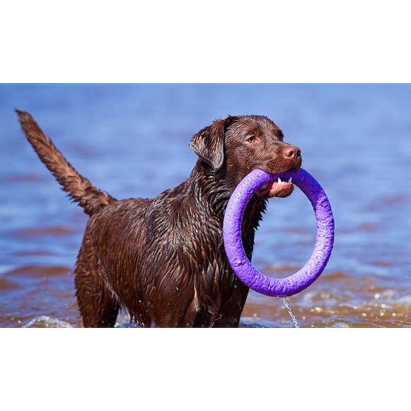 Puller igrača Standard, 2 kom - fi 28 cm (4)