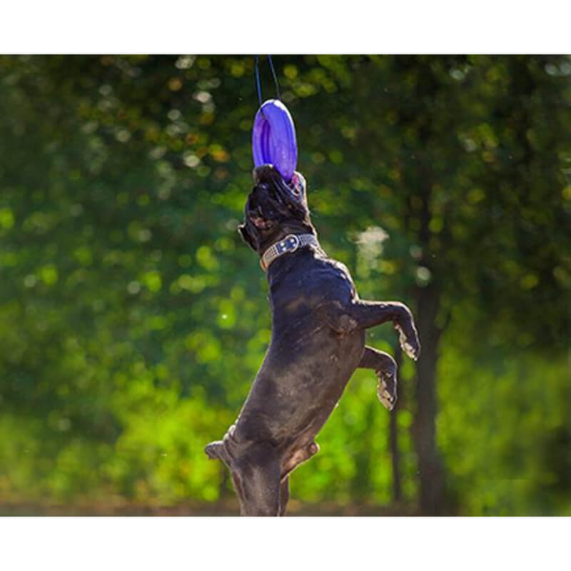 Puller igrača Maxi - fi 30 cm (2)