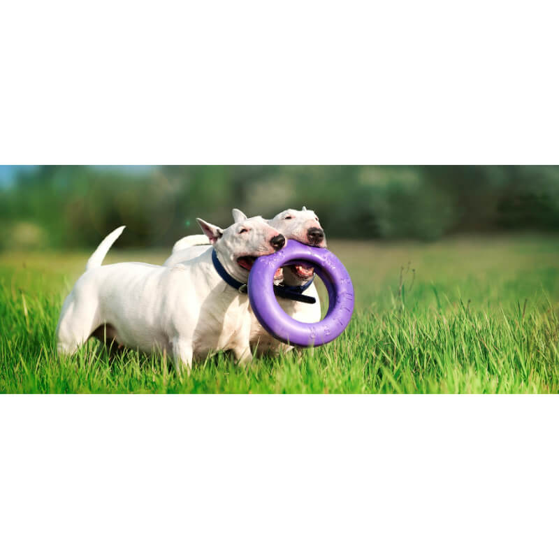 Puller igrača Maxi - fi 30 cm (3)