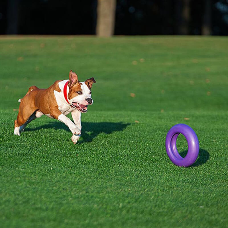 Puller igrača Maxi - fi 30 cm (4)