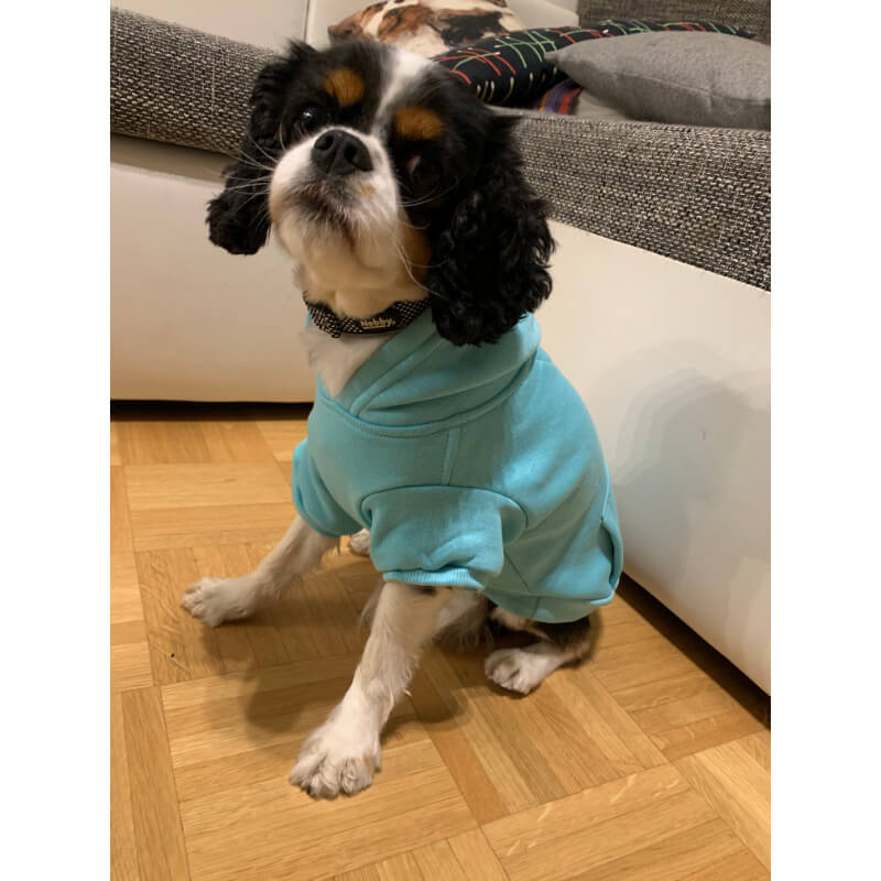 Amiplay pulover Hoodie Texas, modra (2)