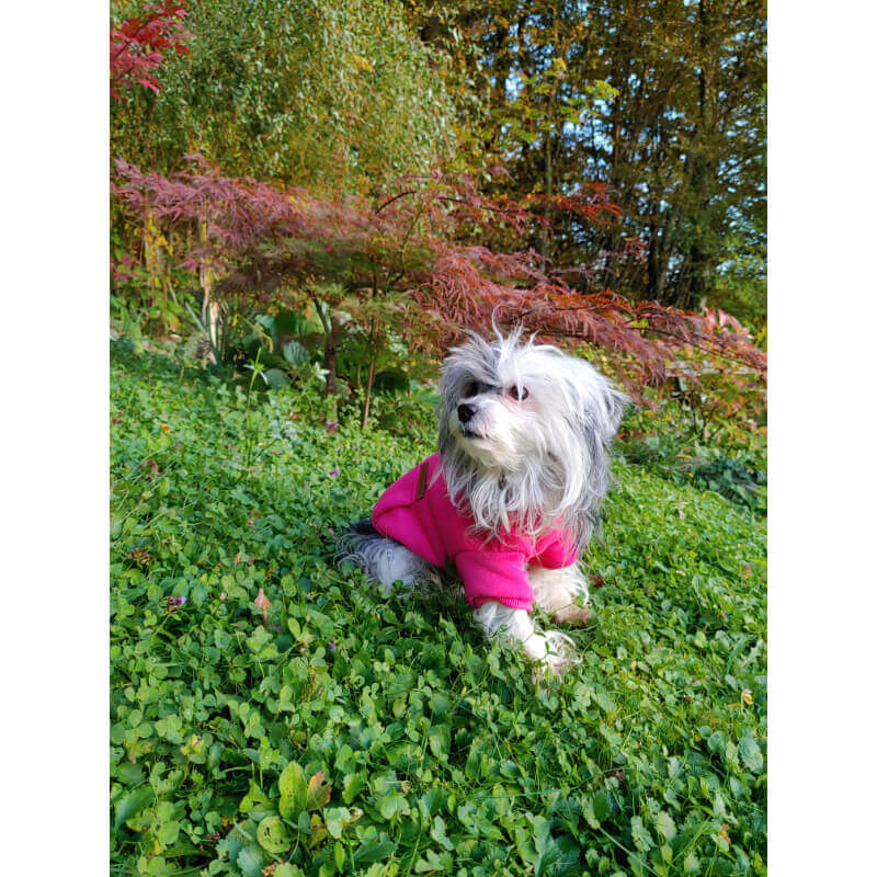 Amiplay pulover Hoodie Texas, roza (2)