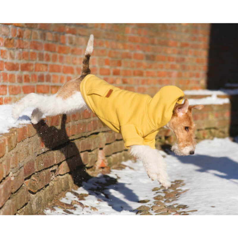 Amiplay pulover Hoodie Texas, rumena (2)