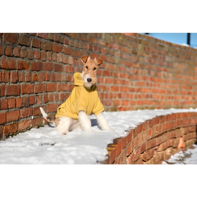 Amiplay pulover Hoodie Texas, rumena (3)