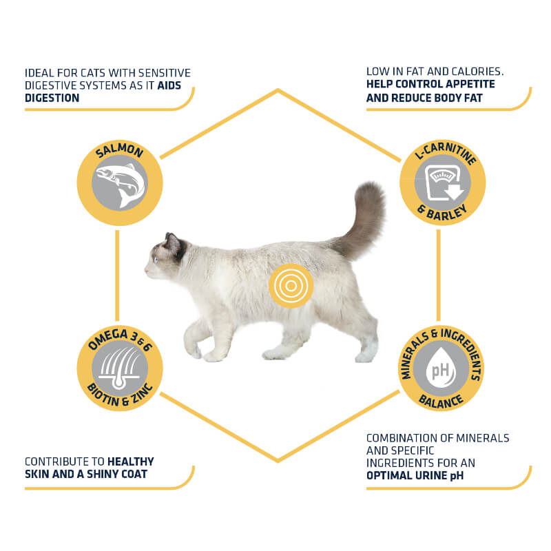 Advance Adult Sensitive Sterilized - losos - 1,5 kg (2)