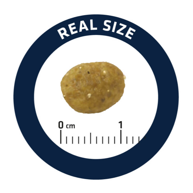 Advance veterinarska dieta za mačke Gastroenteric - puran in riž - 1,5 kg (4)