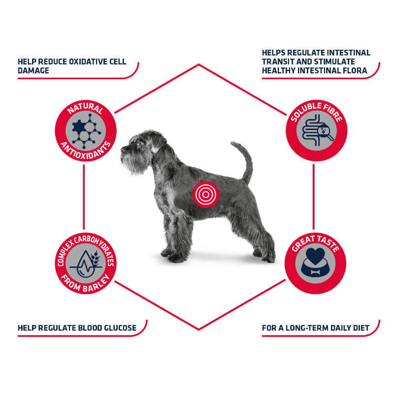 Advance veterinarska dieta Diabetes - 3 kg (2)