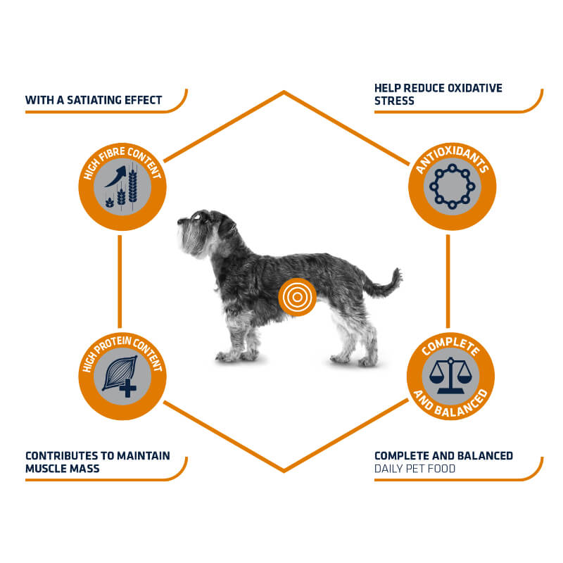 Advance veterinarska dieta Weight Balance Mini - 1,5 kg (2)