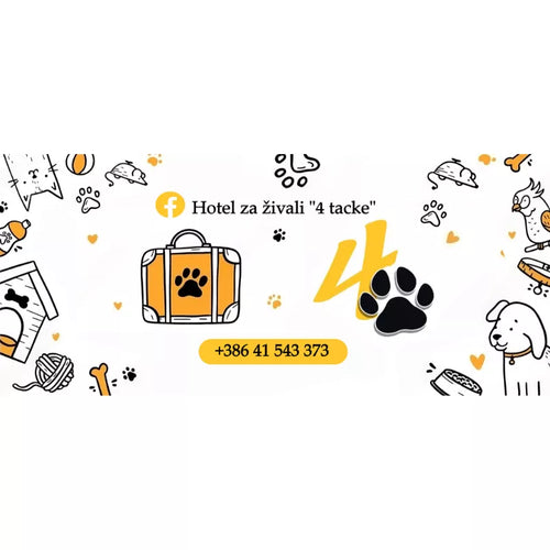 Spletna trgovina Mr.Pet