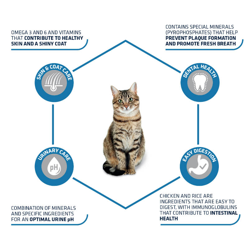 Advance Adult - piščanec in riž (2)