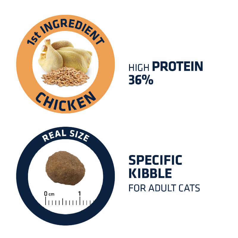 Advance Adult - piščanec in riž (3)