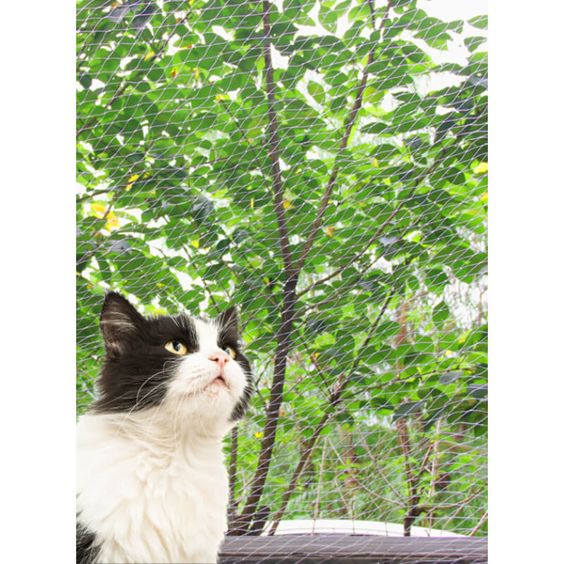 Pawise zaščitna mreža za mačke (3)