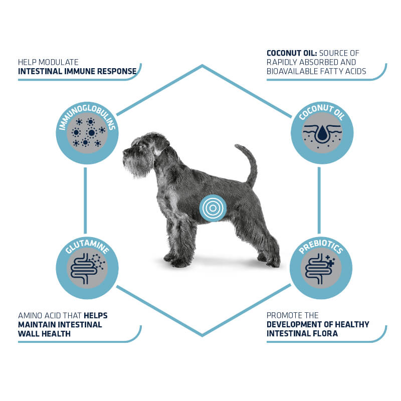 Advance veterinarska dieta Gastroenteric (2)