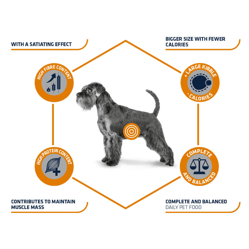 Advance veterinarska dieta Weight Balance (2)