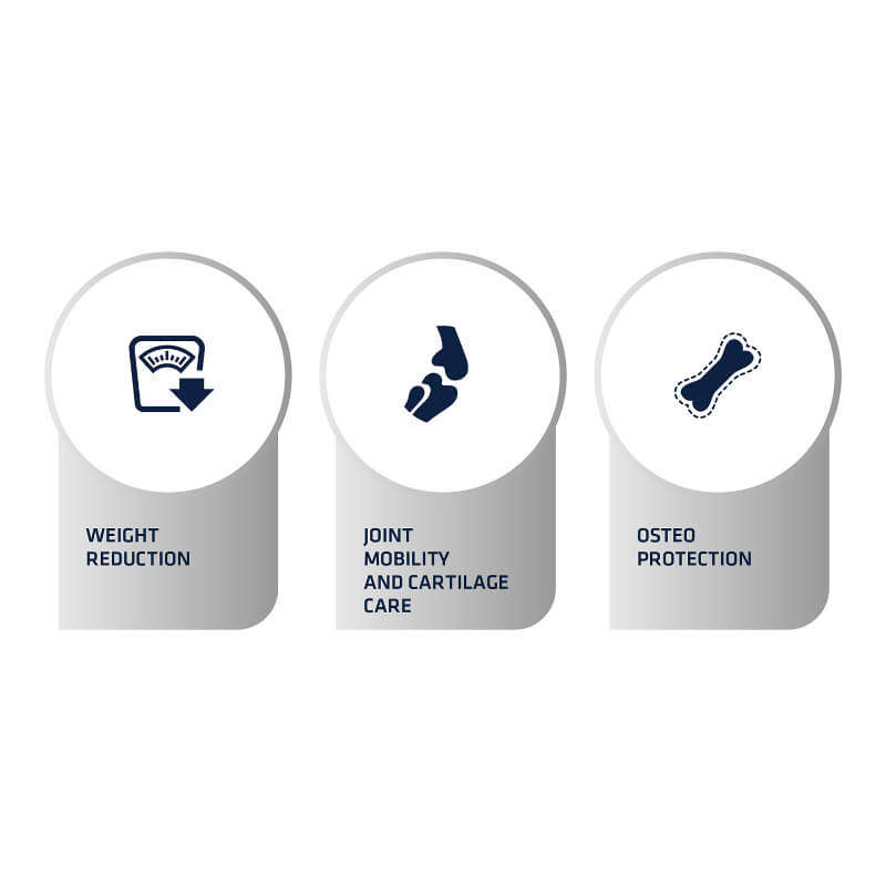 Advance veterinarska dieta Articular Care Light (3)