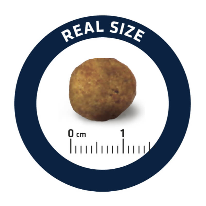 Advance veterinarska dieta Articular Care Light (4)