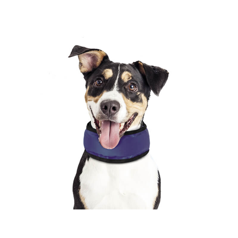 Nobby hladilni trak, moder - 15-25 cm