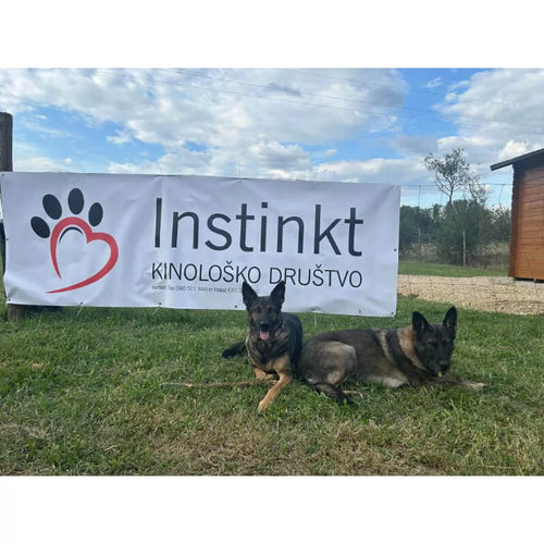 Spletna trgovina Mr.Pet