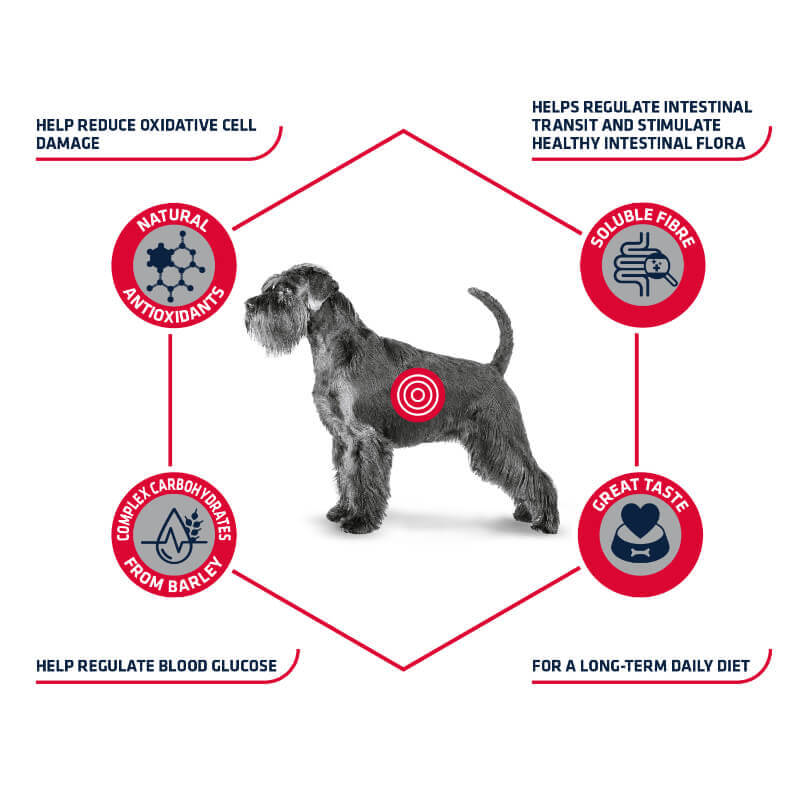 Advance veterinarska dieta Diabetes (2)