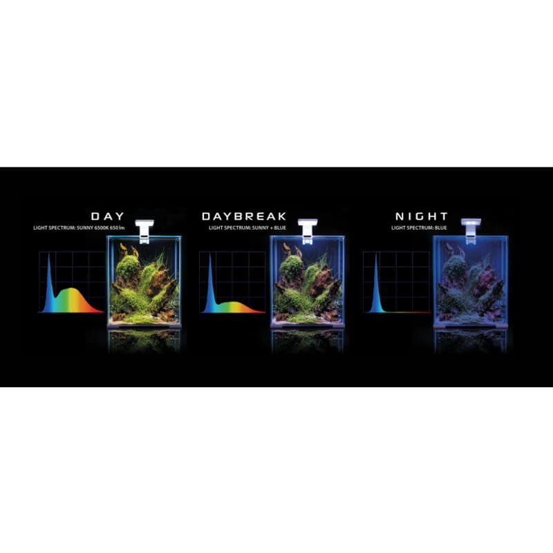 Aquael akvarij Shrimp Set Day/night (30l) - 29 x 29 x 35 cm (2)