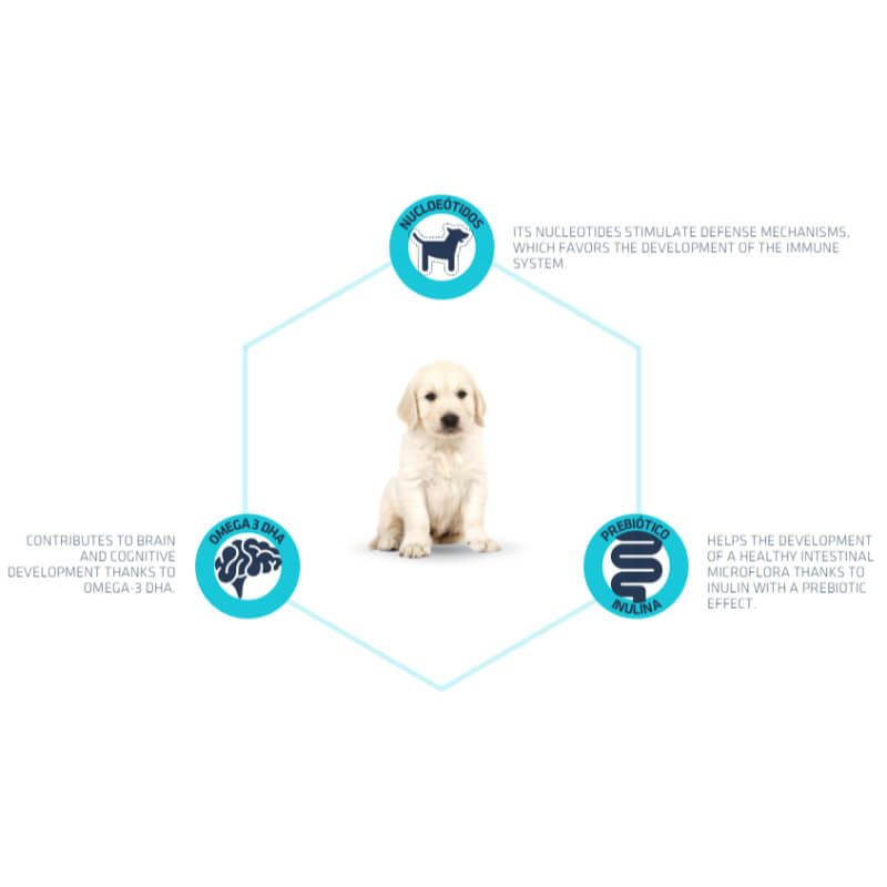 Advance posladek Puppy - 150 g (3)