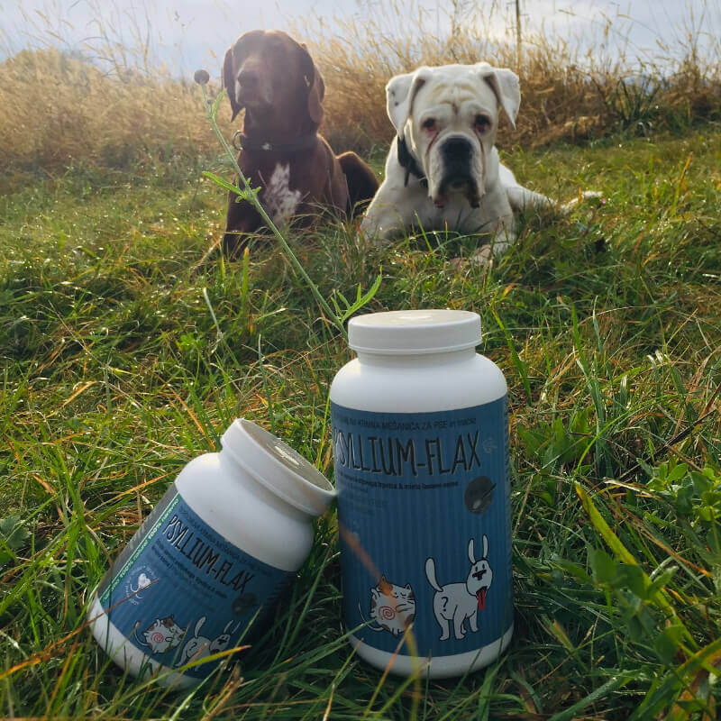 Psyllium-Flax - 100 g (3)