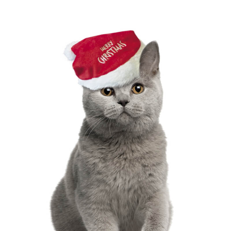 Nobby božična kapa (2)