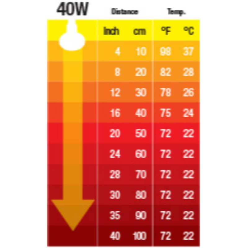 Exo Terra keramična grelna žarnica - 40 W (4)