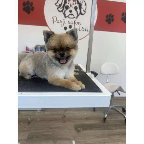 Mr.Pet spletna trgovina