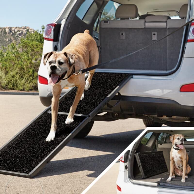 Pawise rampa za pse - 182,8 x 45,7 cm