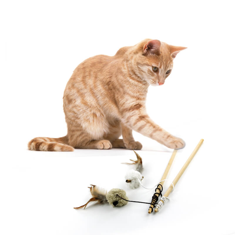 All For Paws igralna palica z miško - 64 cm (4)