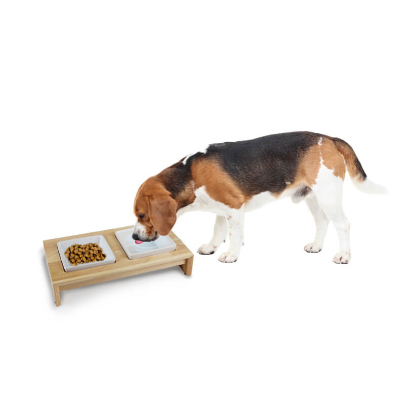 All For Paws Double Dinner stojalo s posodama, S - 2 x 200 ml (2)