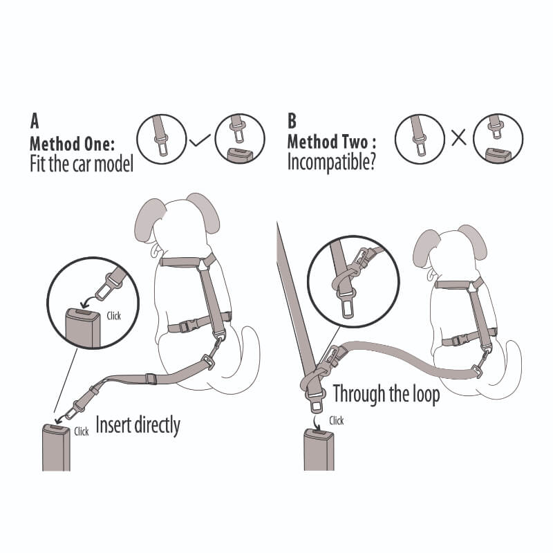 All For Paws oprsnica + varnostni pas - M (4)