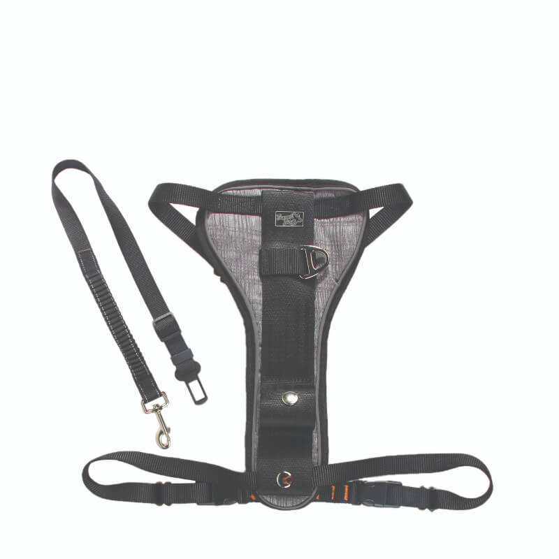 All For Paws oprsnica + varnostni pas - L