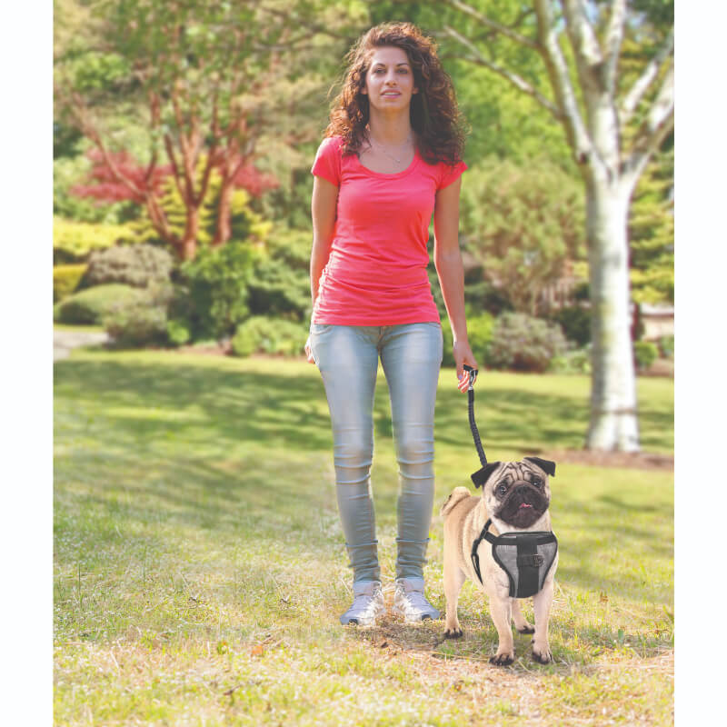 All For Paws oprsnica + varnostni pas - L (6)