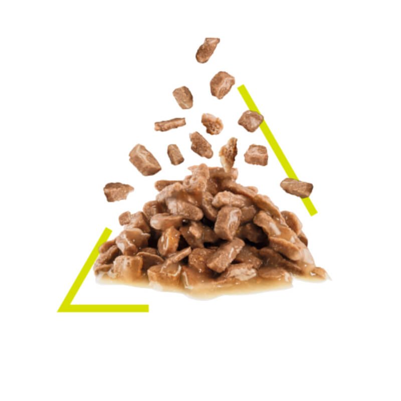 Royal Canin Sensory Smell - omaka (3)